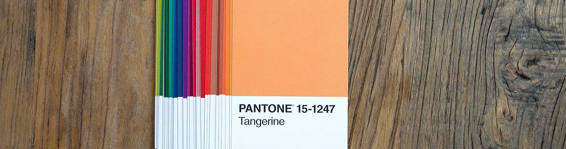 Pantone-portofolioopt